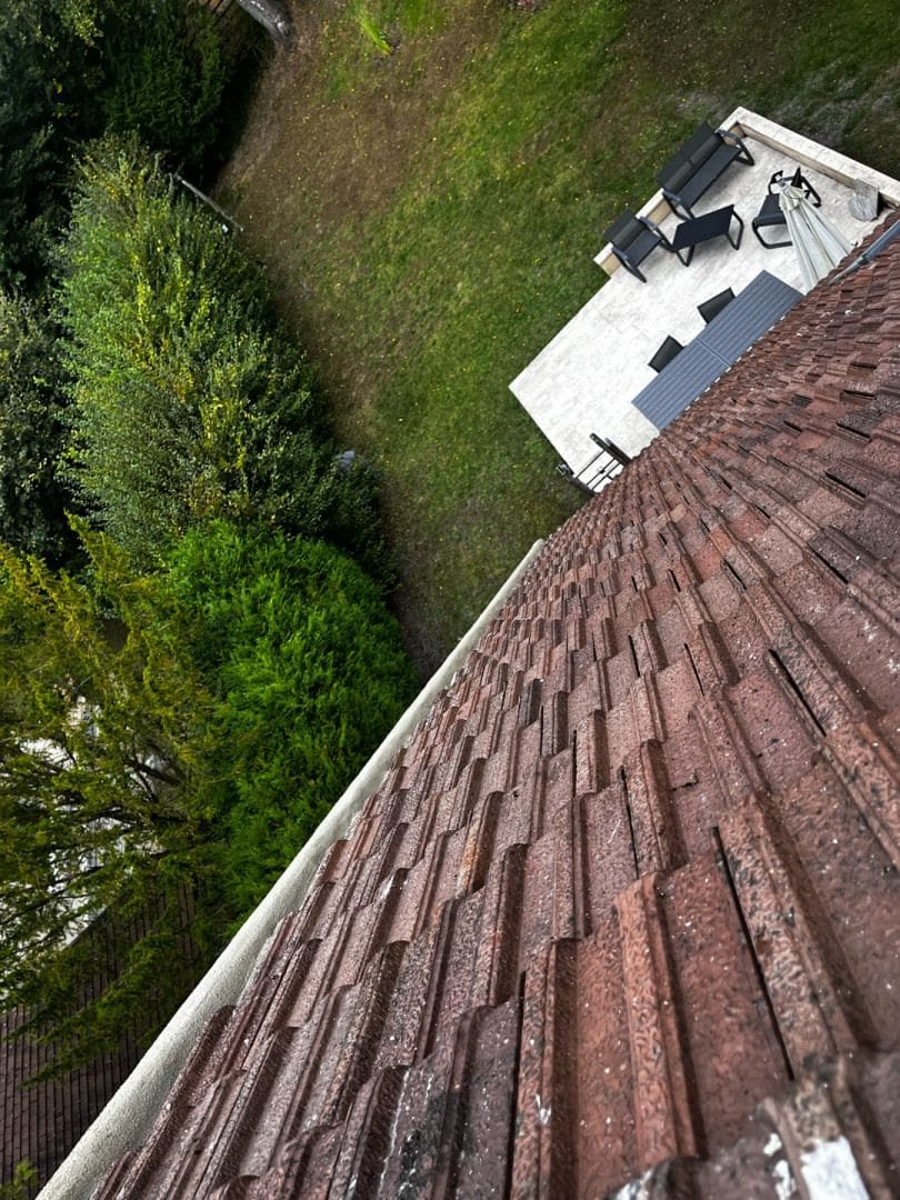 Rives en cimentation
